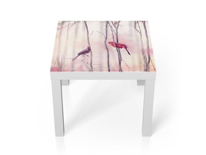 DEQORI Glastisch weiß klein 55x55 cm Motiv Gefiederte Freunde ausgefallener Beistelltisch aus Glas Hochglanz Couchtisch fürs Wohnzimmer moderner Couch Tisch mit Design