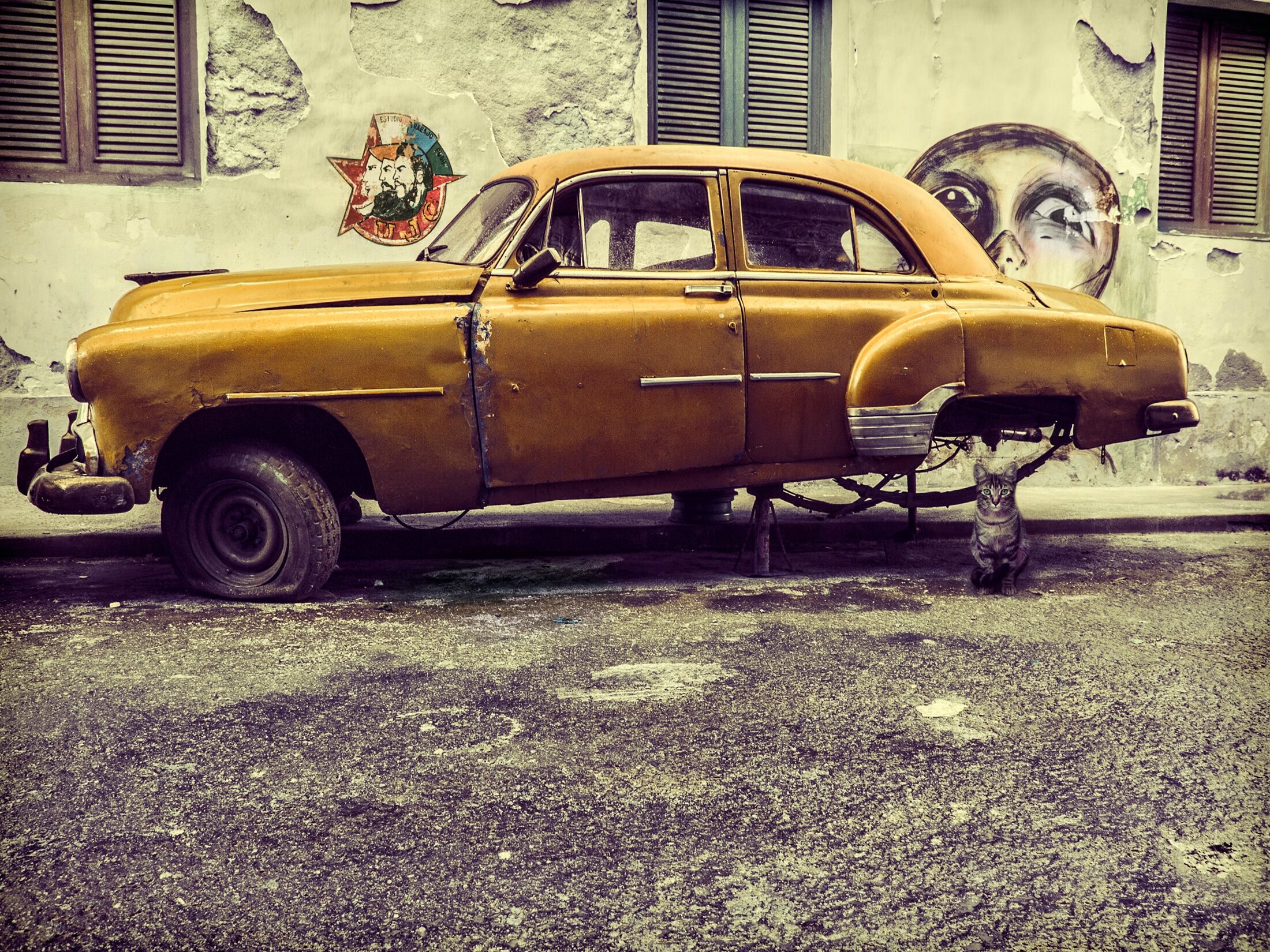 Papermoon "Photo-Art SVETLIN YOSIFOV, ALTES AUTO / KATZE" bunt B/L: 3m x 2,23m, Bahnen: 6 Stk.