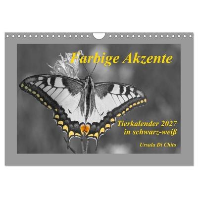 Farbige Akzente - Tierkalender 2027 in schwarz-weiß (Wandkalender 2027 DIN A4 quer), CALVENDO Monatskalender