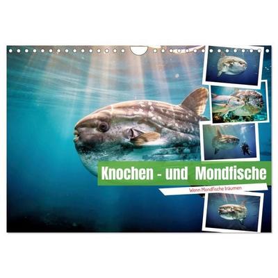 Knochen - und Mondfische (Wandkalender 2027 DIN A4 quer), CALVENDO Monatskalender