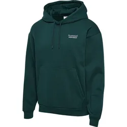HUMMEL hmlLOOSE HOODIE SPORTSWEAR ponderosa pine S