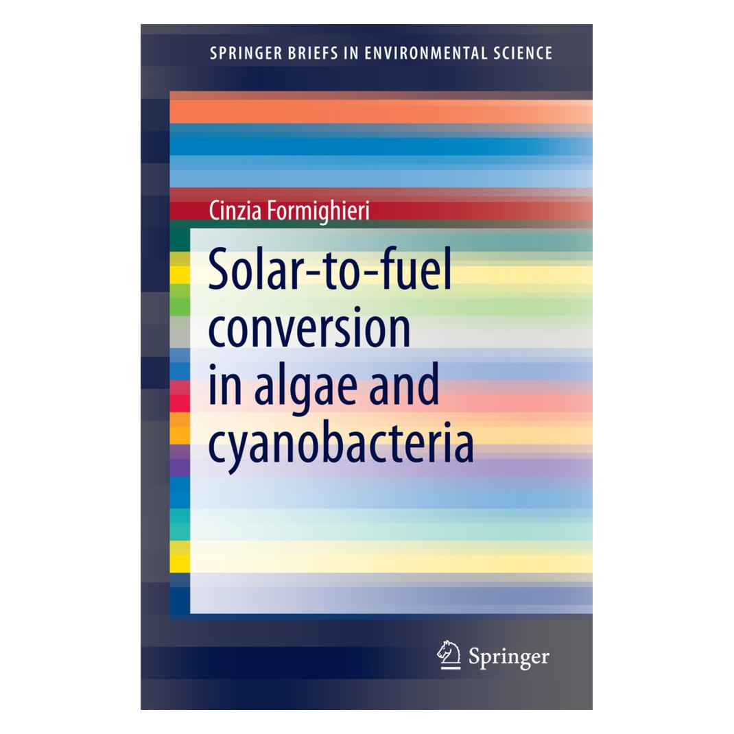 Springer Solar-to-Fuel Conversion in Algae and Cyanobacteria (Englisch, Softcover, Cinzia Formighieri) (55582655)