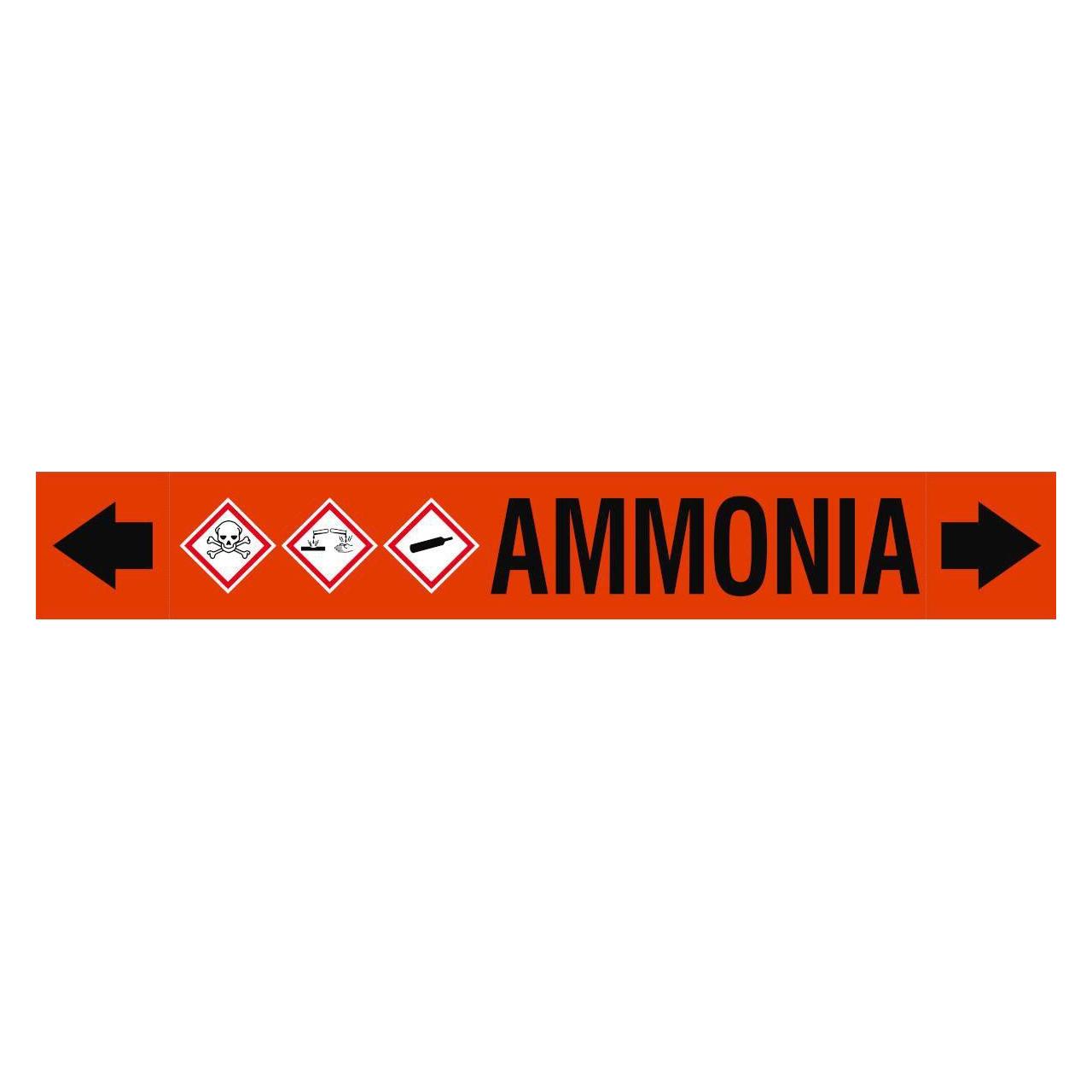 Brady ASME - Rohrmarkierer - Ammonia (ASMEPM-100X690MM-AMMONIA)