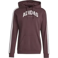ADIDAS Herren Kapuzensweat Codes Collegiate Graphic, Größe XL in Braun Braun