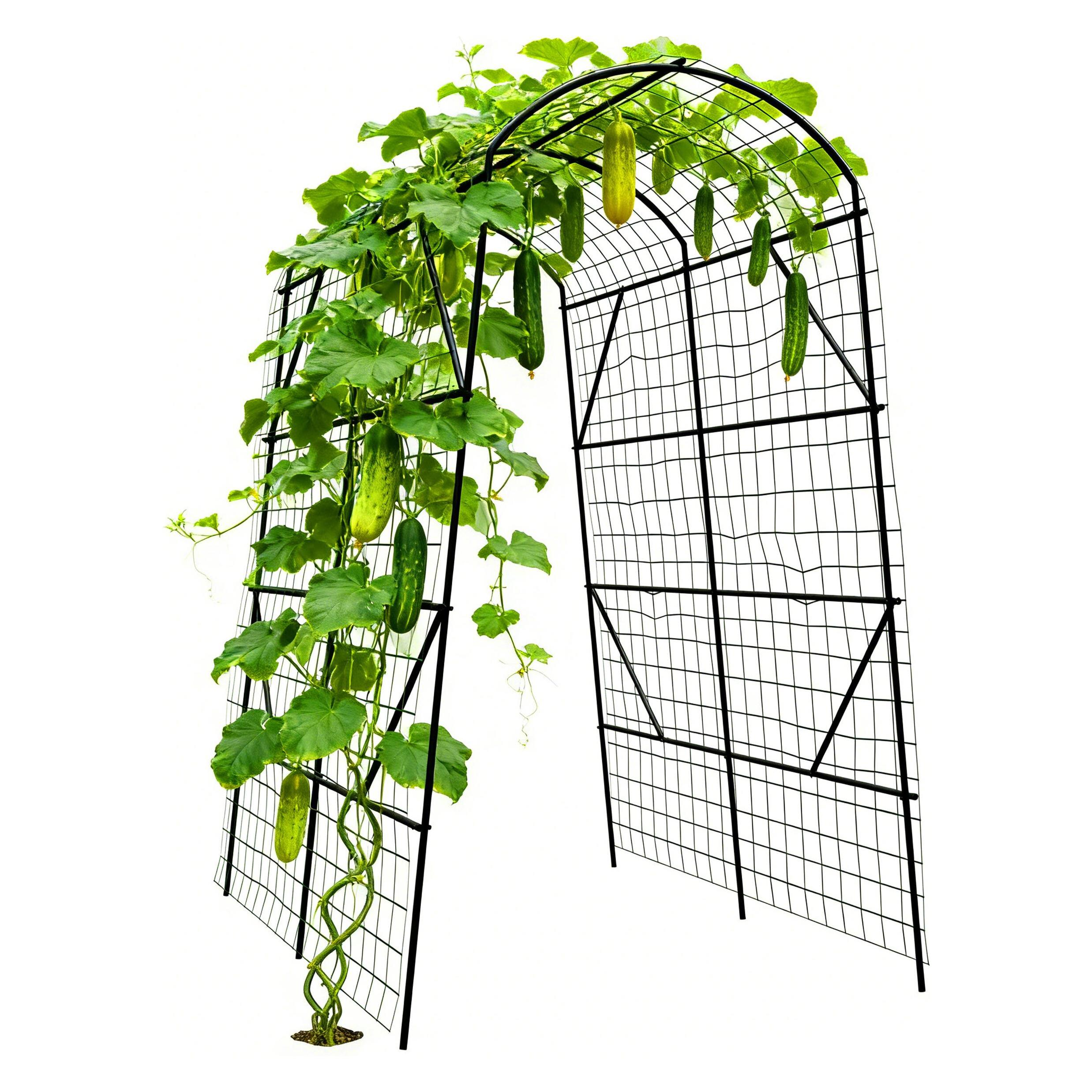 Relaxdays Gurken-Rankhilfe (198 cm, 140 cm) (4052025528997)