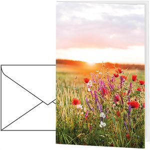 Böttcher-AG Grußkarten Blumenwiese, 115 x 170mm, Klappkarte mit Umschlag