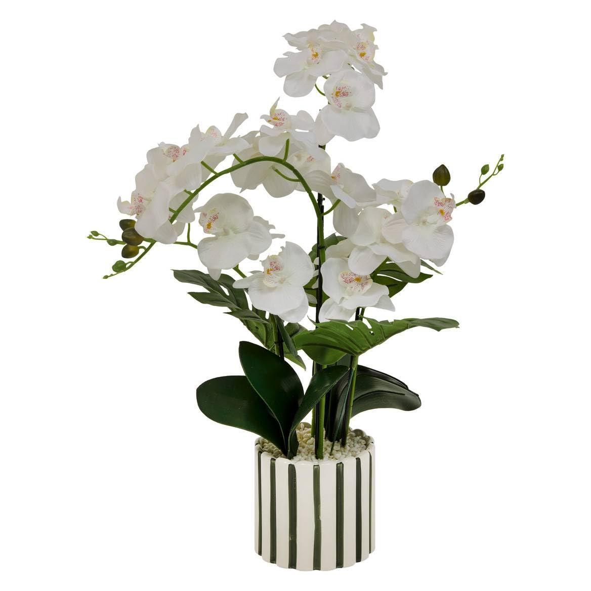 Atmosphera Sztuczna orchidea z ceramiczną doniczką w paski ASIA, 50 x 81 cm (81 cm) (78496826)