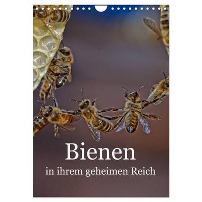 Bienen in ihrem geheimen Reich (Wandkalender 2026 DIN A4 hoch), CALVENDO Monatskalender