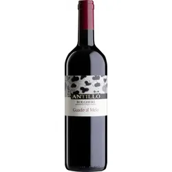 Antillo Bolgheri Guado al Melo 2022
