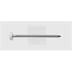SWG, Nägel, 9841255030 Nägel mit Plastikkopf O x L 2.5 mm 50 Edelstahl A4 (50 mm)