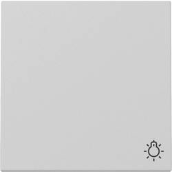 GIRA Wippe Grau 3285015 1 St.