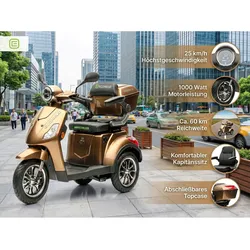 Econelo E-Seniorenmobil Yogi-IQ, Blei-Akku, 3-Rad, 1000 Watt, Braun