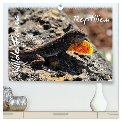 Wilde Fauna - Reptilien (hochwertiger Premium Wandkalender 2027 DIN A2 quer), Kunstdruck in Hochglanz