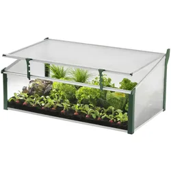 Juwel Frühbeet Gewächshaus Easy Fix + Fensterfixierung, Größe 100x60x40 cm