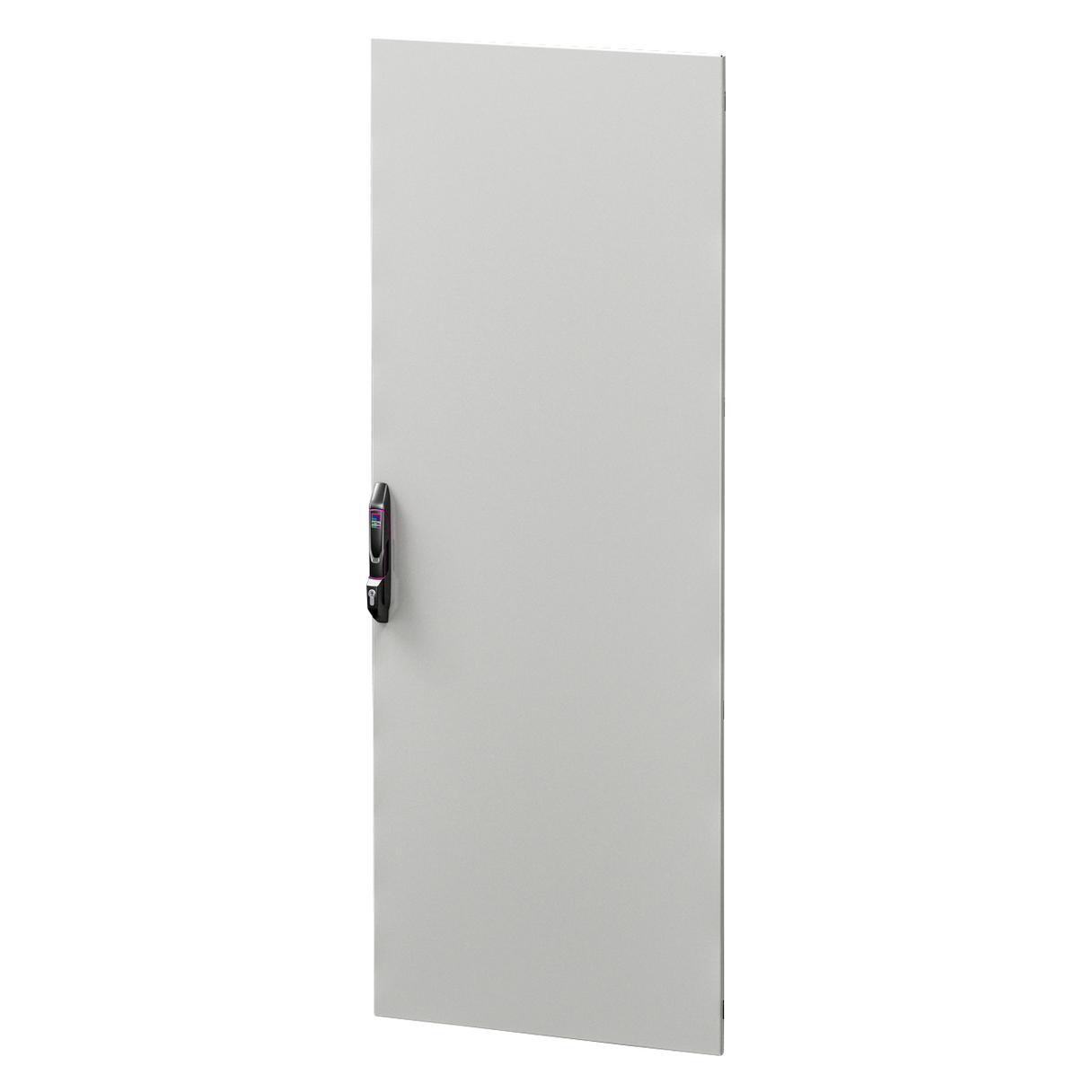 Rittal 5301542 einteilig für VX IT 800x2200mm RAL7035 Stahlblechtür (5301542)