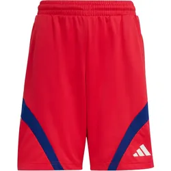 adidas House of Tiro Sweatshorts Kinder KD3447 - pure ruby/white/mystery ink 128