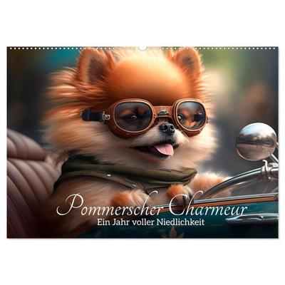Pommerscher Charmeur Ein Jahr voller Niedlichkeit (Wandkalender 2026 DIN A2 quer), CALVENDO Monatskalender