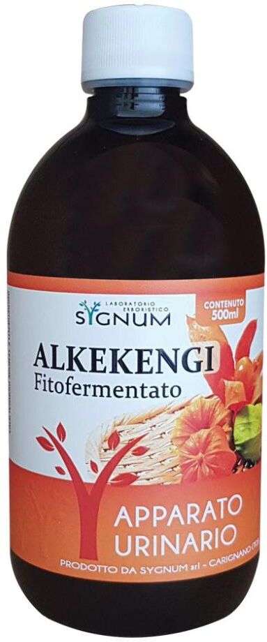 SYGNUM srl ALKEKENGI 500ML