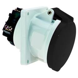 Bals Elektrotechnik 12407 12407 CEE Anbaudose 63.0 A 4polig 500 V 1 St.