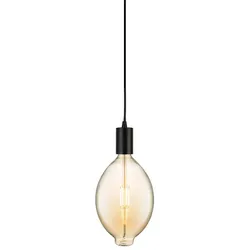 8W Riesige Led Balloon Dekorativer Filament Bernstein 2200K 800 Lumen dimmbar