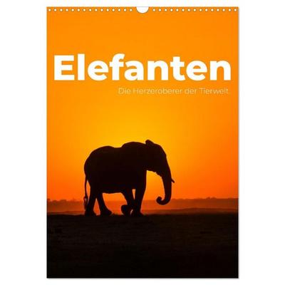 Elefanten - Die Herzeroberer der Tierwelt. (Wandkalender 2027 DIN A3 hoch), CALVENDO Monatskalender
