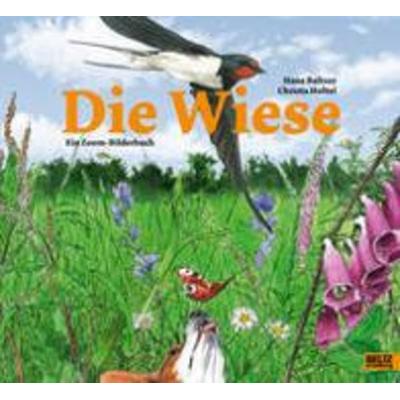 Die Wiese, Gebundene Ausgabe von Hans Baltzer,Christa Holtei, Julius Beltz GmbH & Co. KG