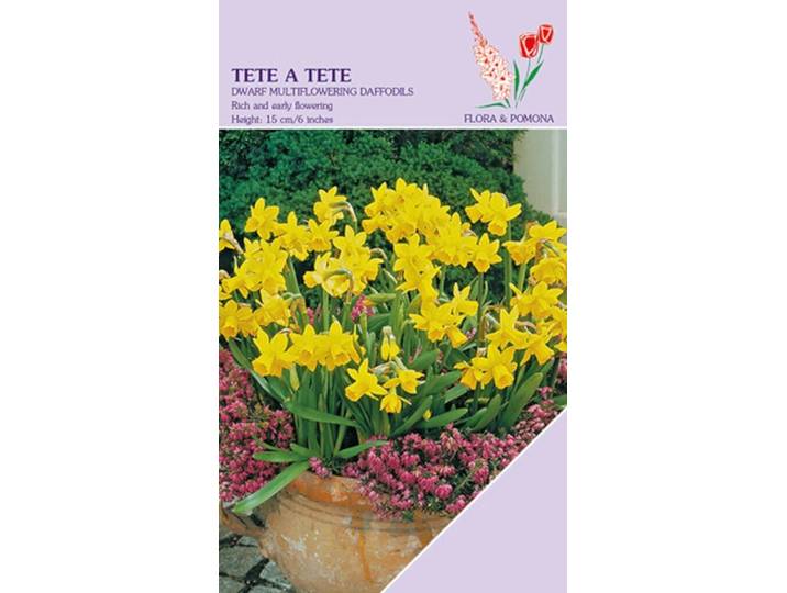 Narcis Tete a Tete 20 bollen