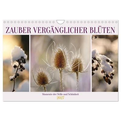 Zauber vergänglicher Blüten (Wandkalender 2027 DIN A4 quer), CALVENDO Monatskalender