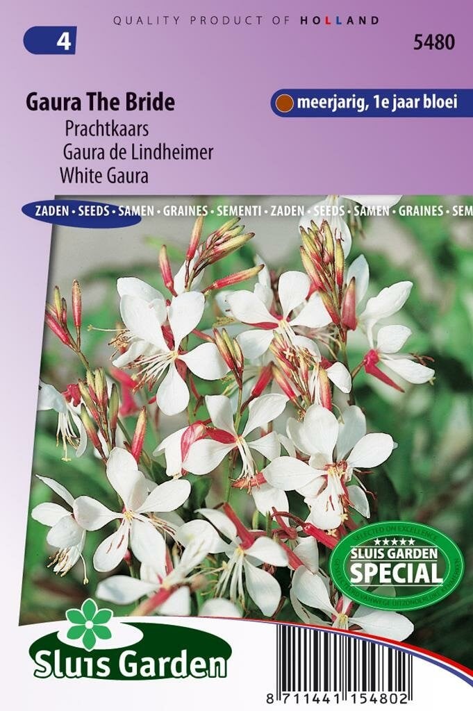 Sluis Garden Gaura Lindheimeri The Bride prachtkaars zaden