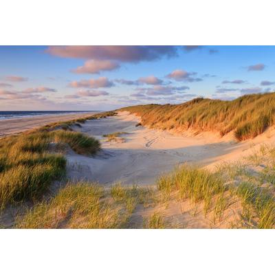 Fototapete PAPERMOON "Dunes Sunset", bunt, B:2,5m L:1,86m, Vlies, Tapeten