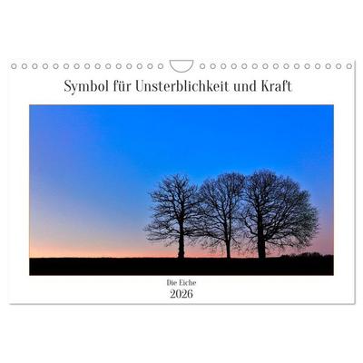 Symbol für Unsterblichkeit und Kraft (Wandkalender 2026 DIN A4 quer), CALVENDO Monatskalender