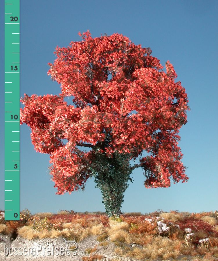 Silhouette 231-25