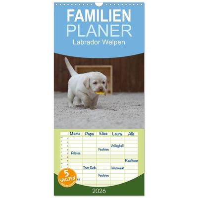 Familienplaner 2026 - Labrador Welpen mit 5 Spalten (Wandkalender, 21 x 45 cm) CALVENDO