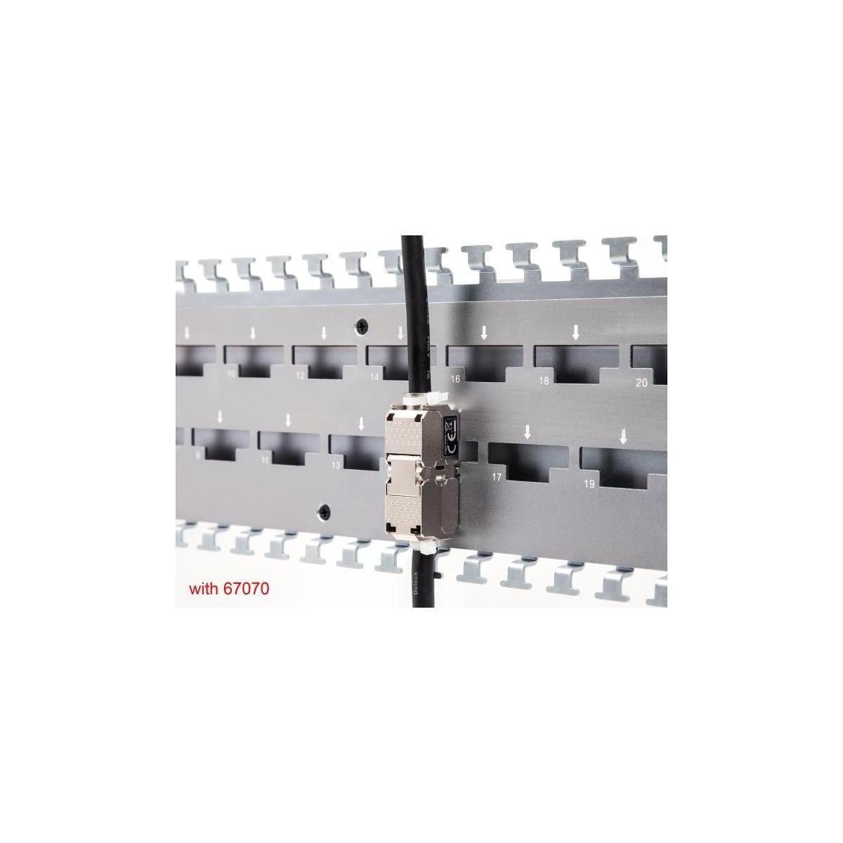 Delock Netwerkkoppelaar LSA naar LSA STP CAT 6a Zilver