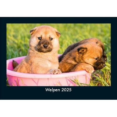 Welpen 2025 Fotokalender DIN A5
