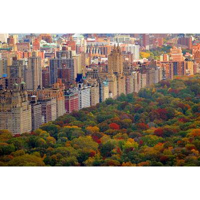 Fototapete PAPERMOON "Central Park", bunt, B:3,5m L:2,6m, Vlies, Tapeten