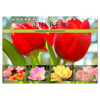 Tulpen. Zauberhafte Blütenpracht (Tischkalender 2027 DIN A5 quer), CALVENDO Monatskalender