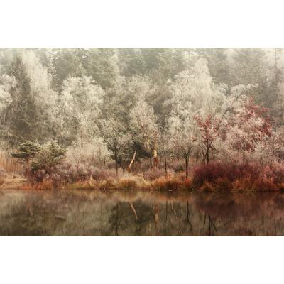 Fototapete PAPERMOON "Photo-Art ANTON VAN DONGEN, GEFROREN", bunt, B:4m L:2,6m, Vlies, Tapeten