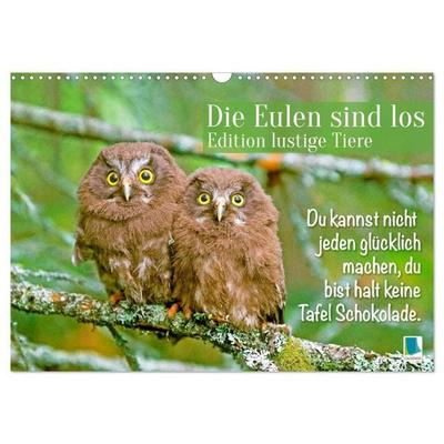 Die Eulen sind los: Edition lustige Tiere (Wandkalender 2027 DIN A3 quer), CALVENDO Monatskalender