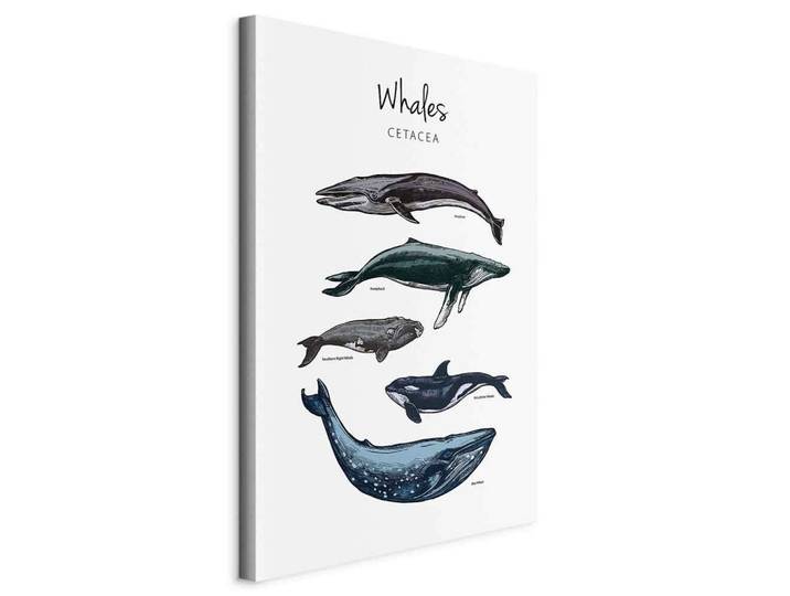 Leinwandbild Whales Grau/Hellgrau