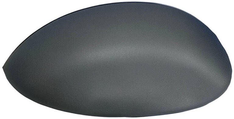 TYC 305-0014-2 Wing mirror cover