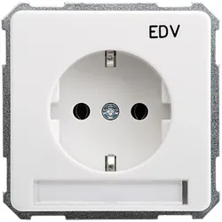 Elso UP-Steckdoseneinsatz EDV 205114