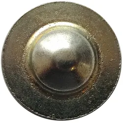 Druckscheibe MTS Belarus Original | 50-1602029-01
