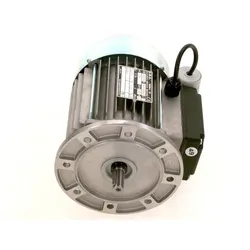 Motor 0,25 kW - 87185791740