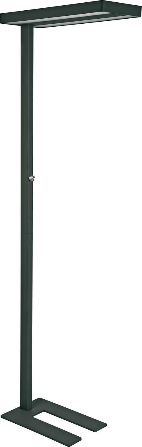 MAUL Vloerlamp MAULjaval LED, dimbaar, 4.000 K, zwart, Hoogte: 196 cm