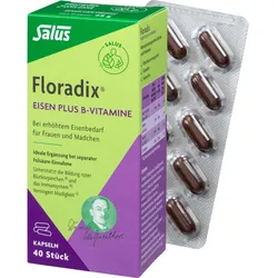Floradix Eisen Plus B-Vitamine 40 ST