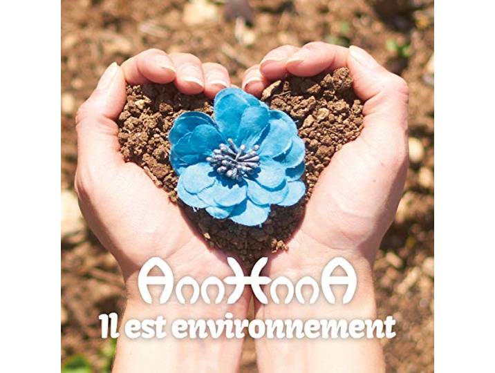 IL EST ENVIRONNEMENT