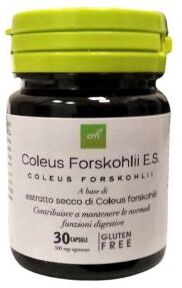 OTI Srl Coleus Forskohlii Estratto Secco 30 Capsule