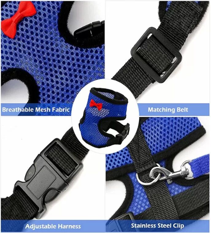 INF Atmungsaktives Mesh-Haustiergeschirr mit Leine und Schleife - Blau M