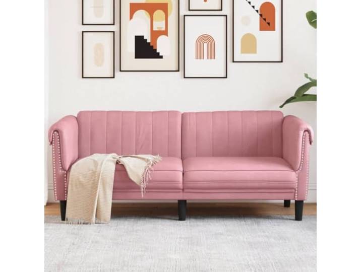 HEFZGDB Rosa Samt 2-Sitzer Sofa mit weichem Veloursstoff und stabilen Stützbeinen, komfortabel gepolsterte Sitzfläche für Entspannung und Fernsehen, modernes Design für Wohnzimmer,